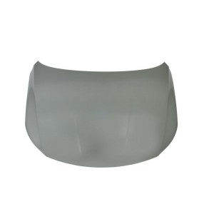 Achetez CAPOT VW VW PASSAT CC 08-11 au meilleur prix sur todocarrocería.com